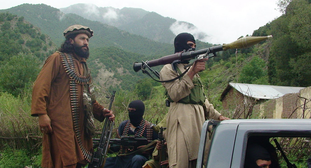 Thành phần chiến binh Taliban tại Pakistan 
